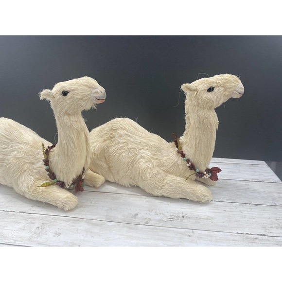 Trademark Exclusive Large Pair Decorative Nativity SITTING Lamas/Camels 11x16" - Picture 2 of 12